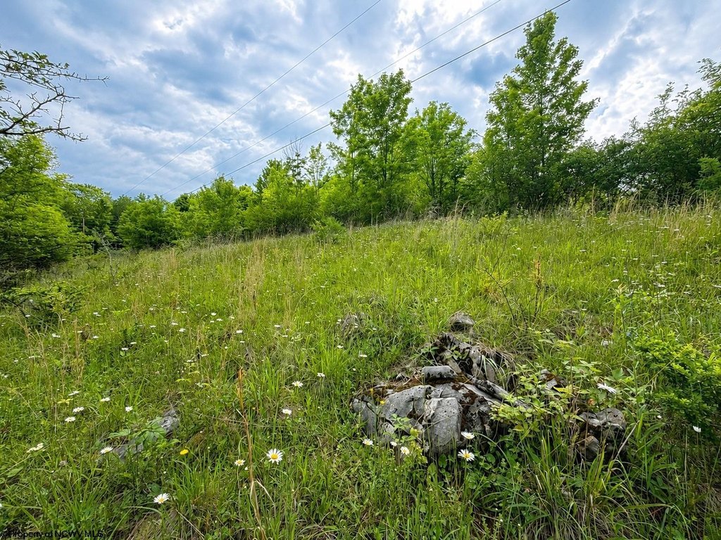 Picture 11