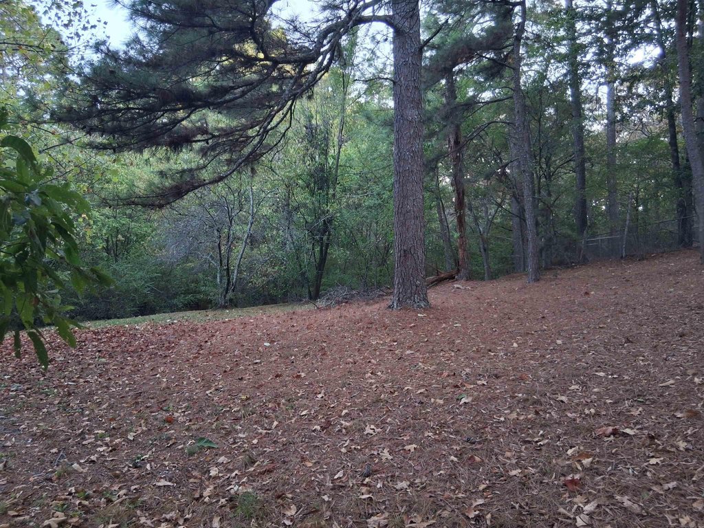 Picture 15