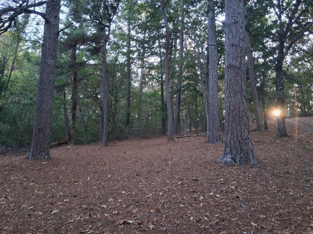 Picture 7