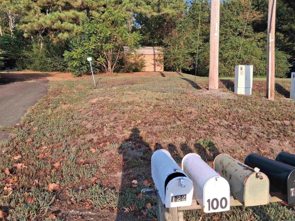 Picture 19