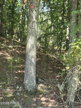Land, Dingmans Ferry, PA