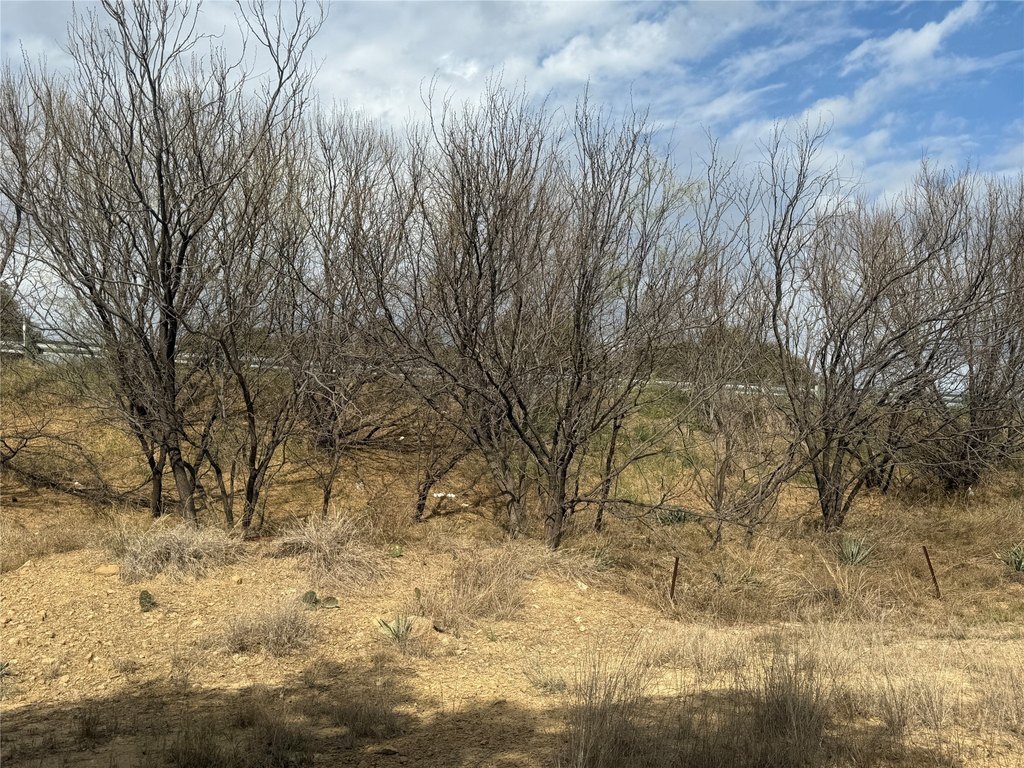 Picture 21