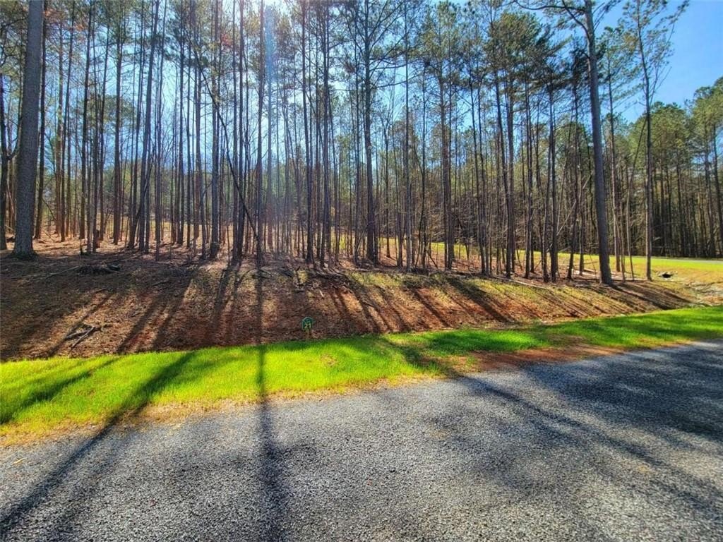 Ready-to-Build Mountain Homesite