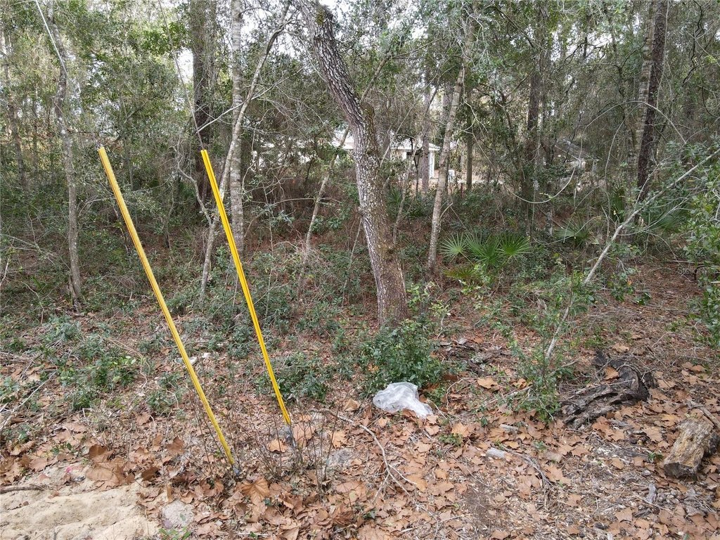 Picture 4