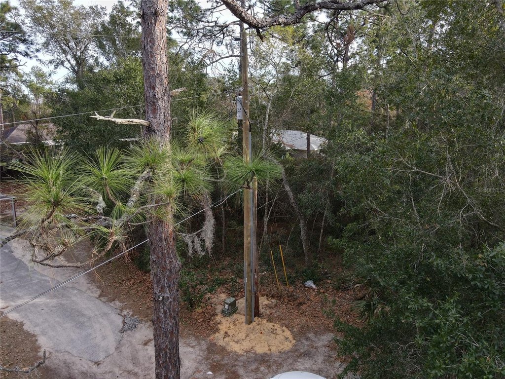 Picture 3