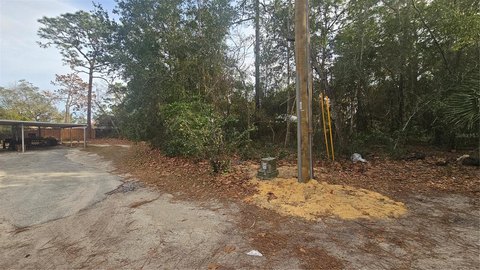 Residential Lot in Umatilla, FL