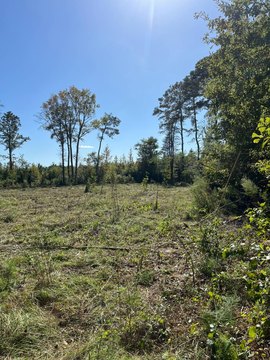 Vacant Land - Darlington, SC