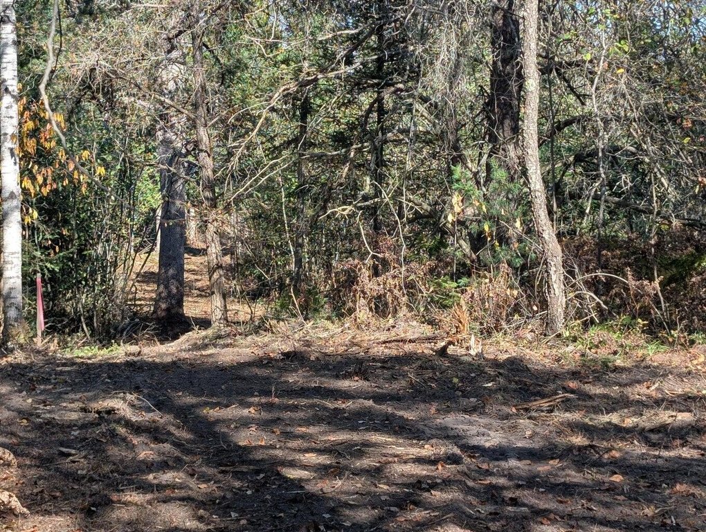 Picture 18