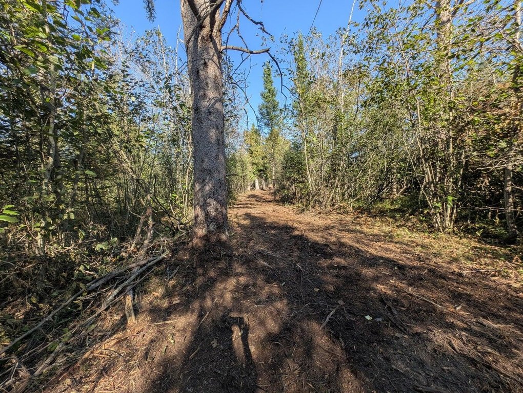 Picture 16