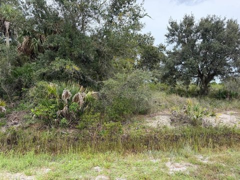 Land, OKEECHOBEE, FL