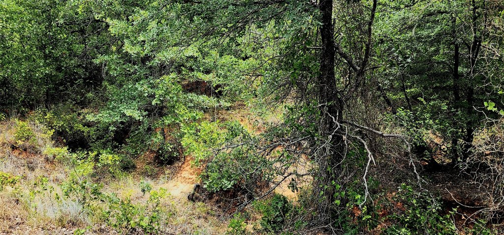 Picture 10