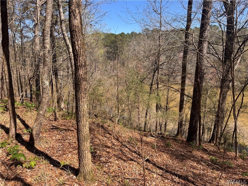 Lake Tuscaloosa Waterfront Land