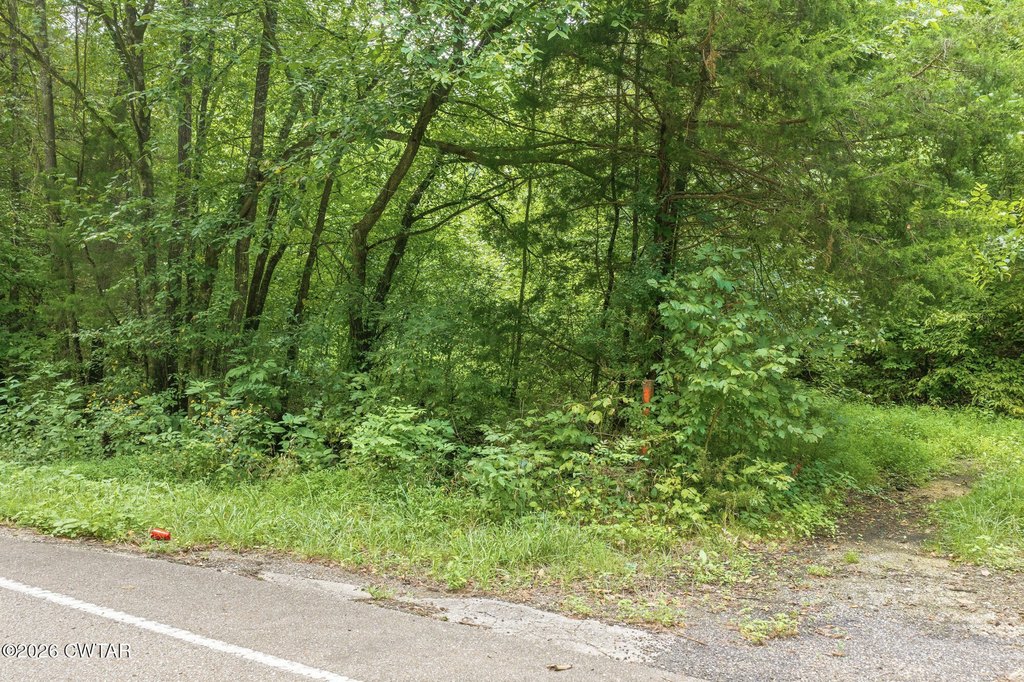 Picture 21