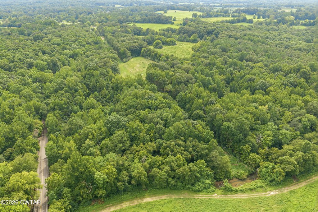 Picture 14