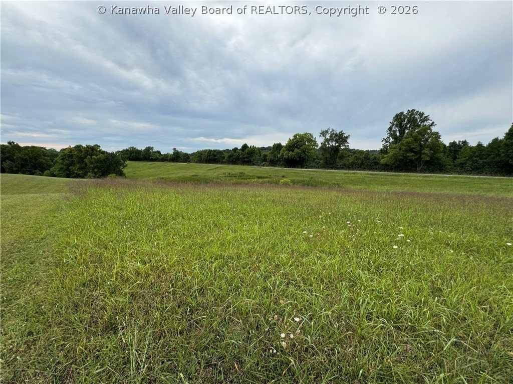 Picture 7