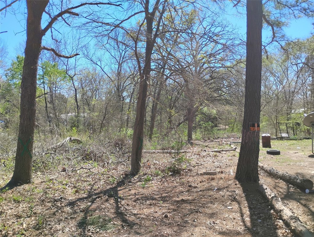 Picture 21