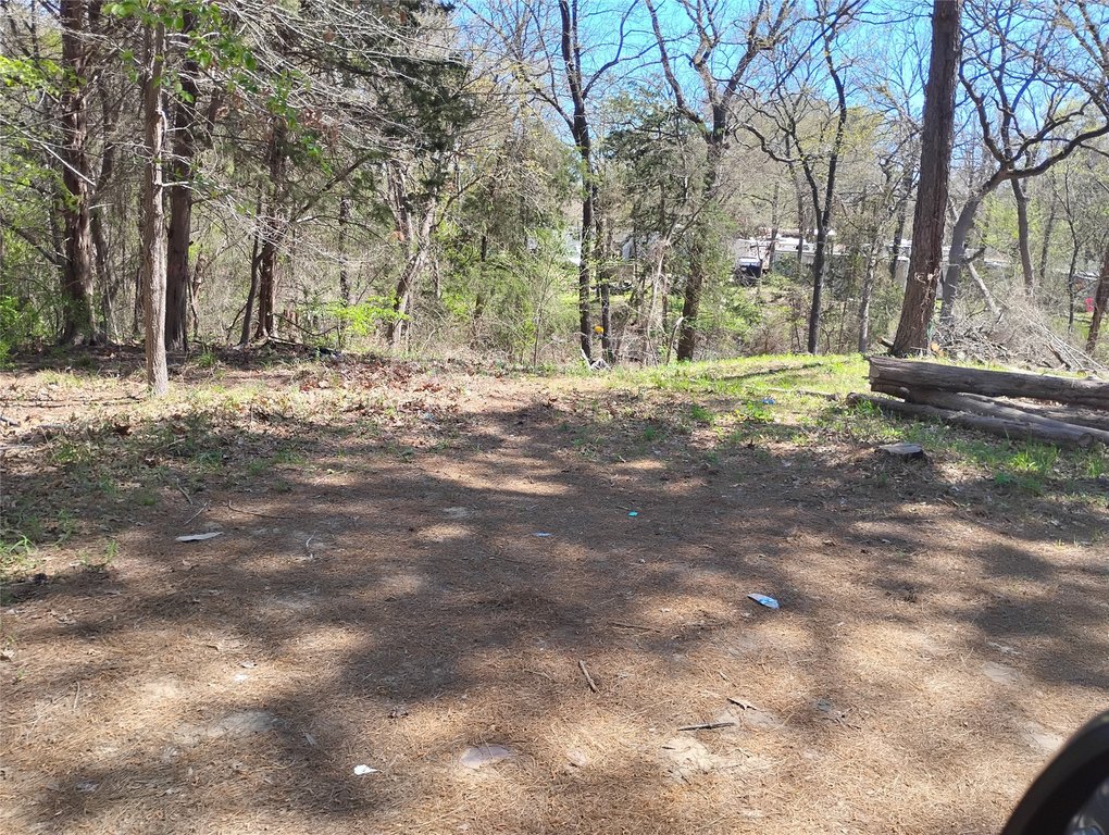 Picture 18