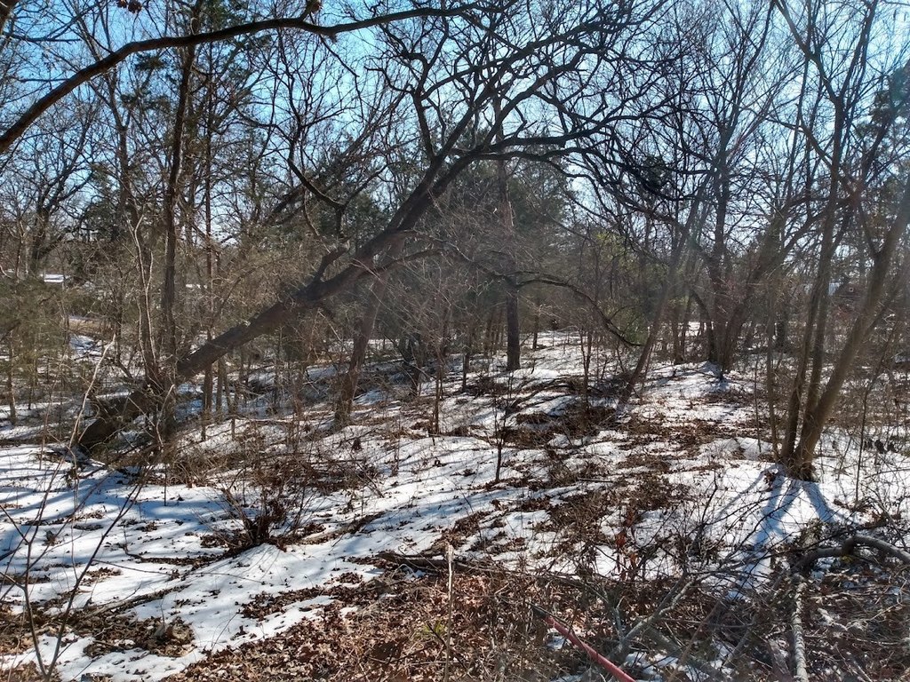 Picture 14