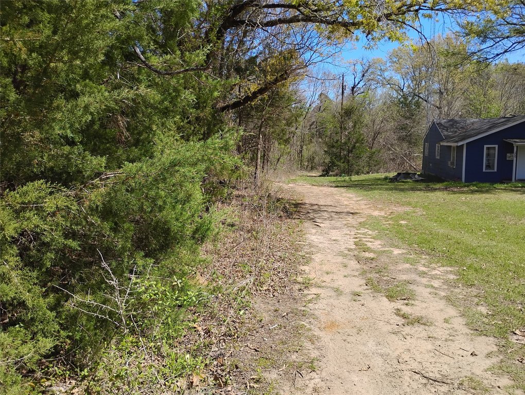 Picture 24