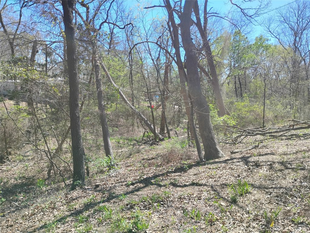 Picture 19