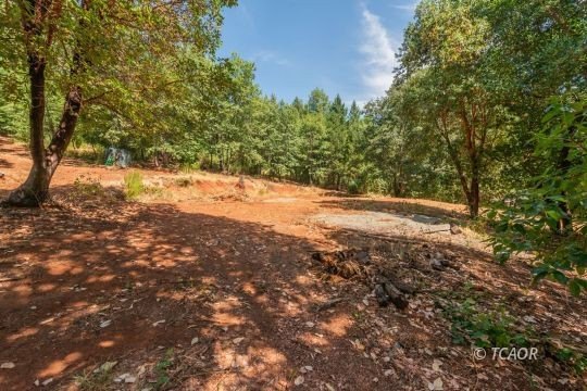 Land in Junction City, CA
