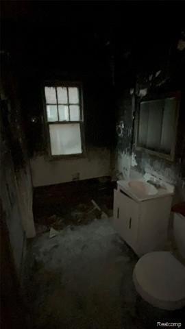 Picture 5