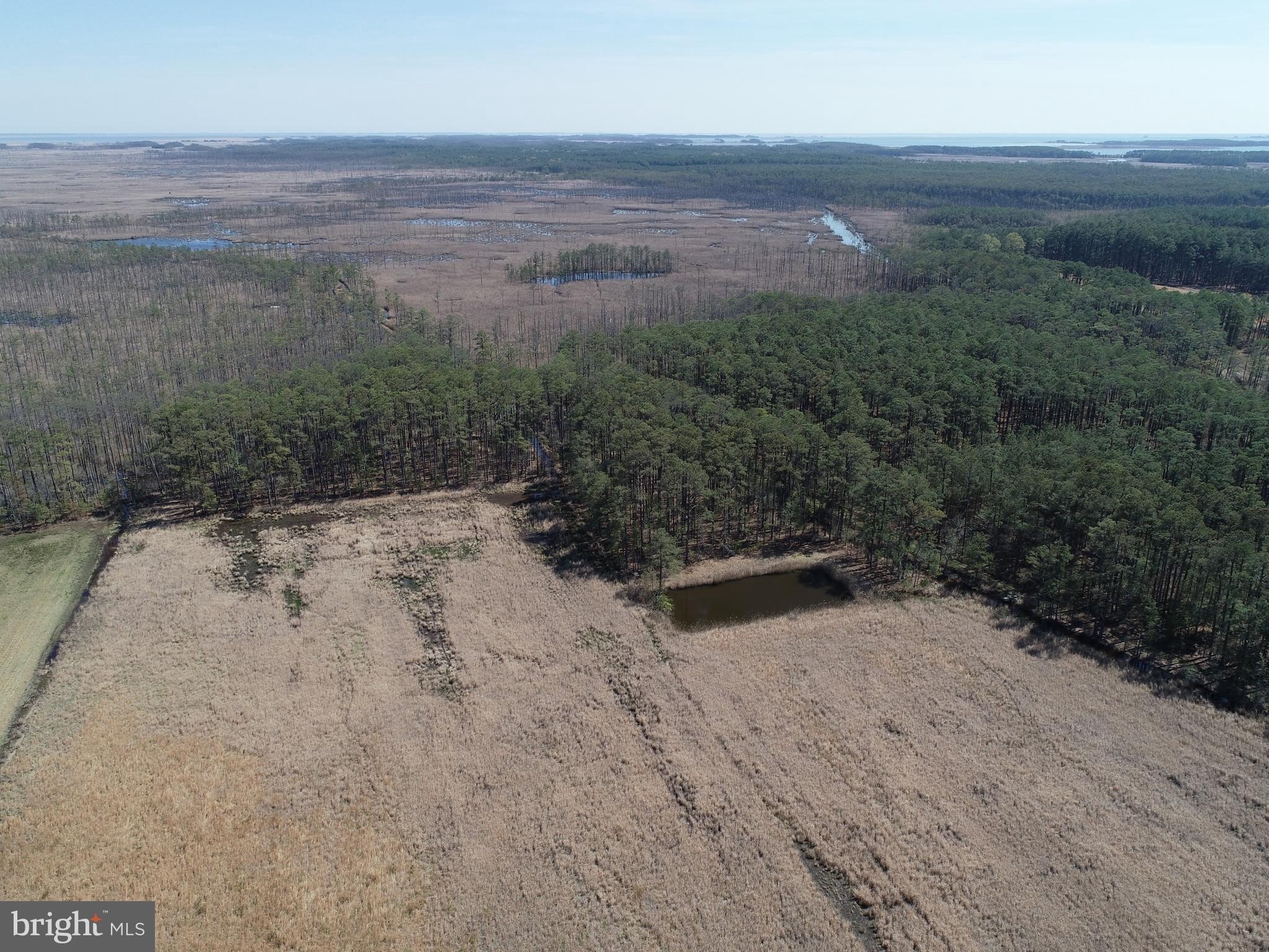 Hunting Land with Development Potential