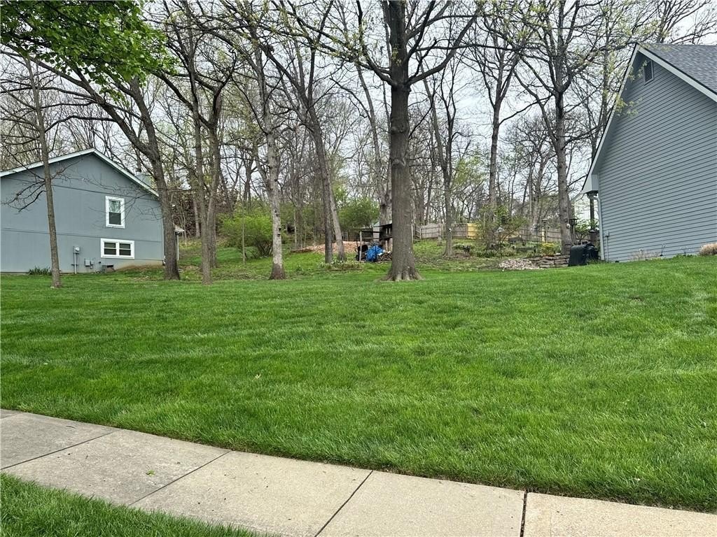 Picture 8