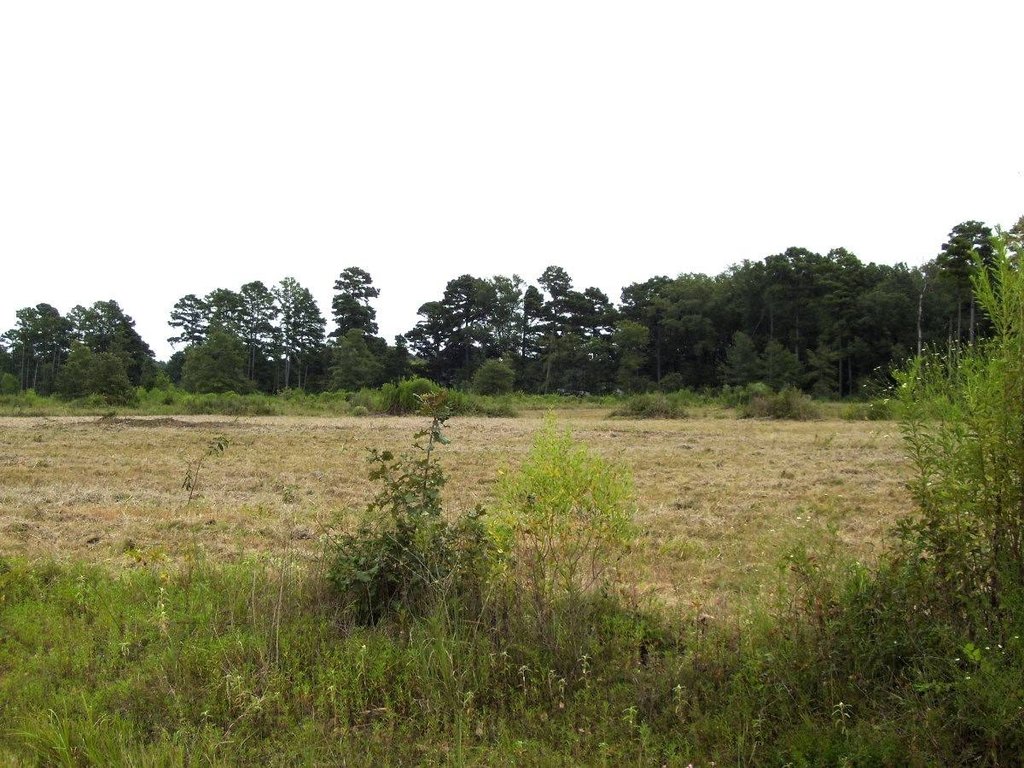 Picture 5