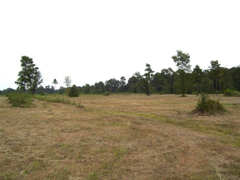 Vacant Land in Ashdown, AR