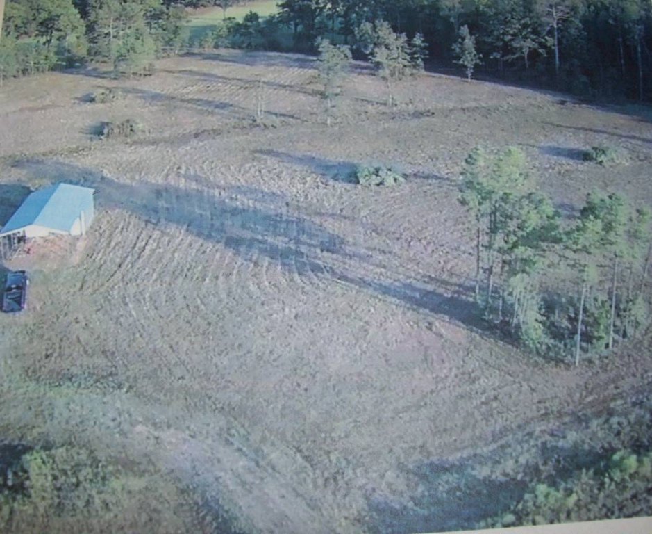 Picture 10