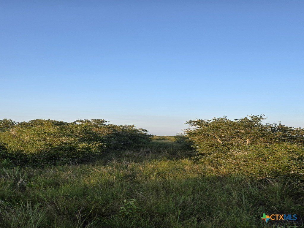Picture 10