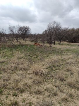 Resort Community Building Lot