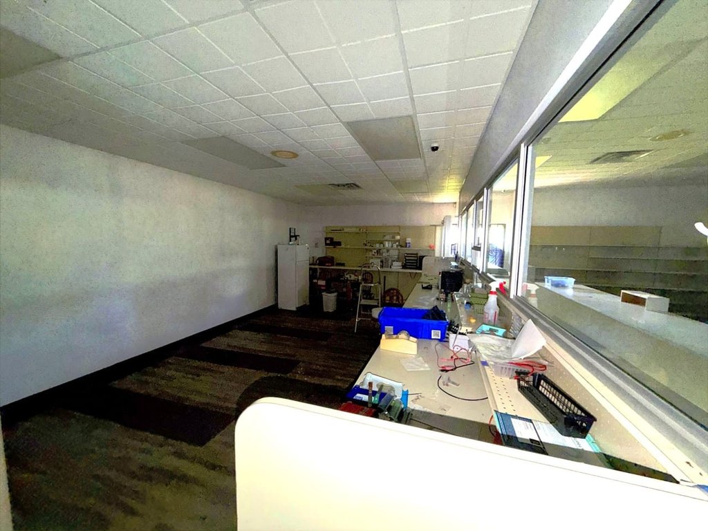 Picture 15
