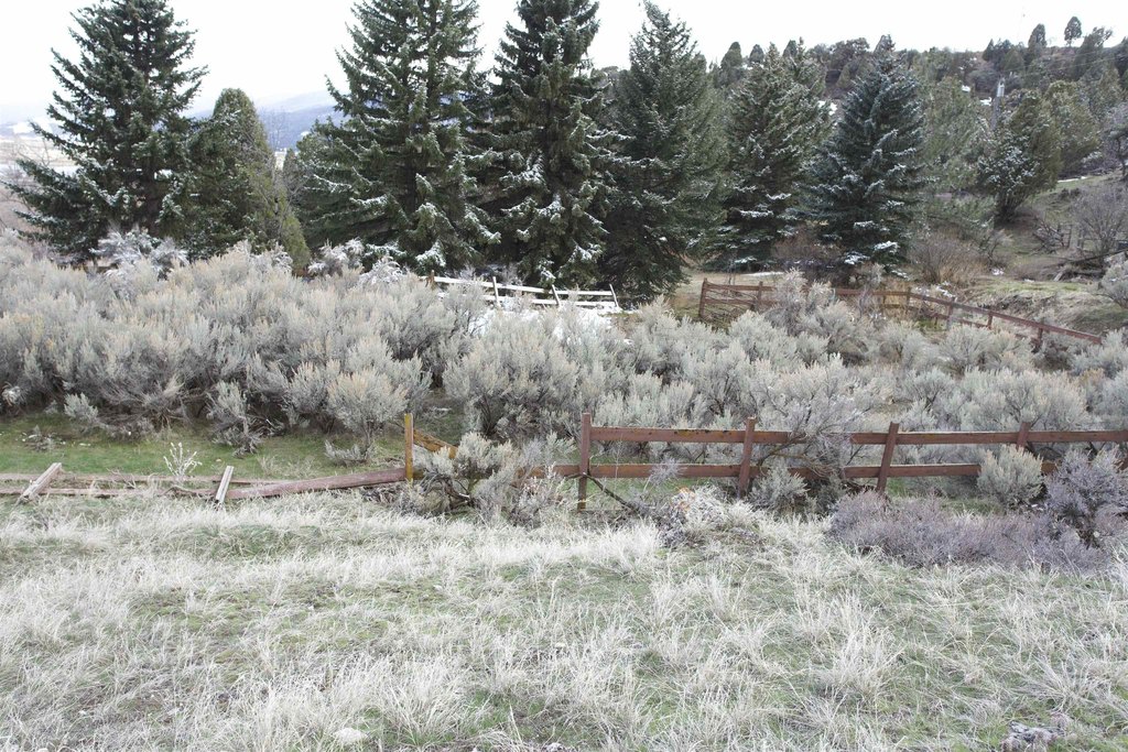 Picture 8