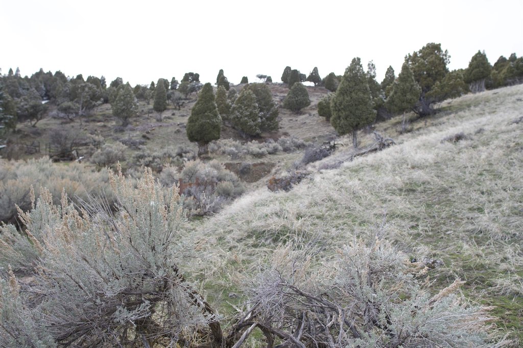 Picture 12