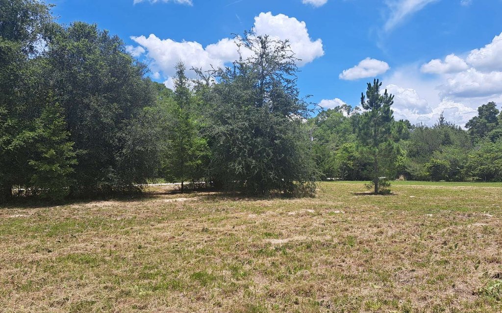 Picture 21