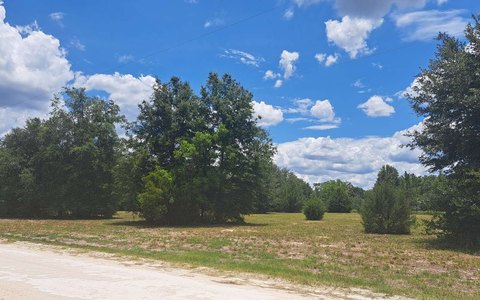 Cleared Level Homesite with Tree Cover