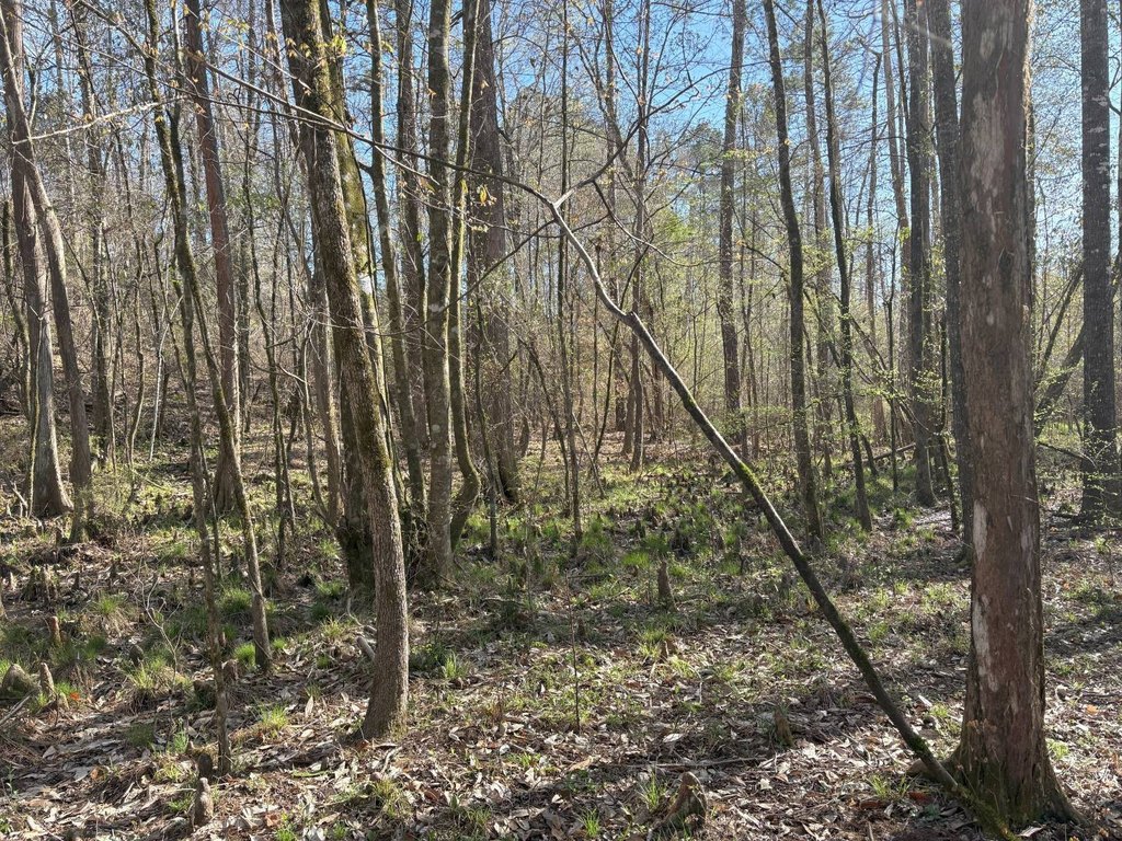 Picture 18