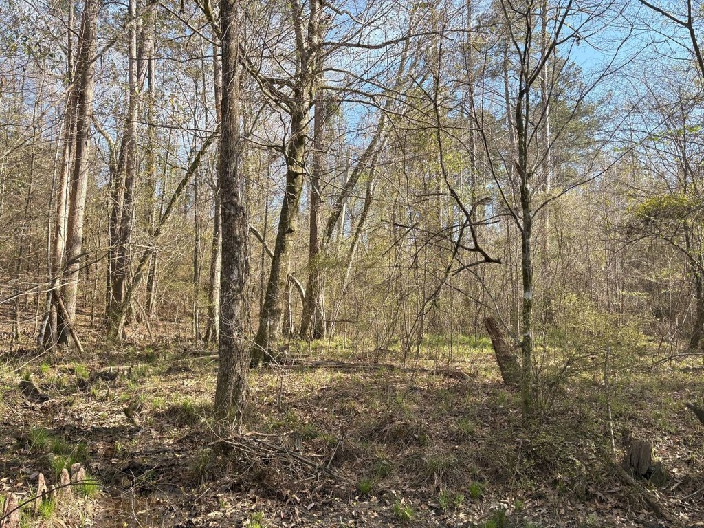 Picture 21