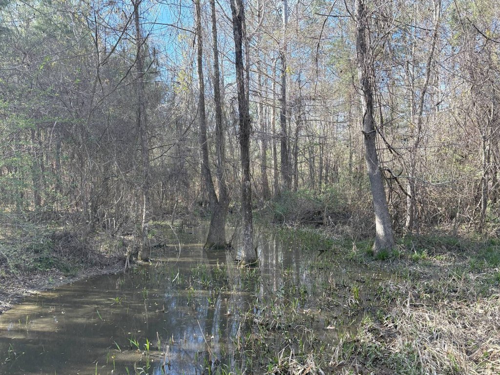 Picture 22