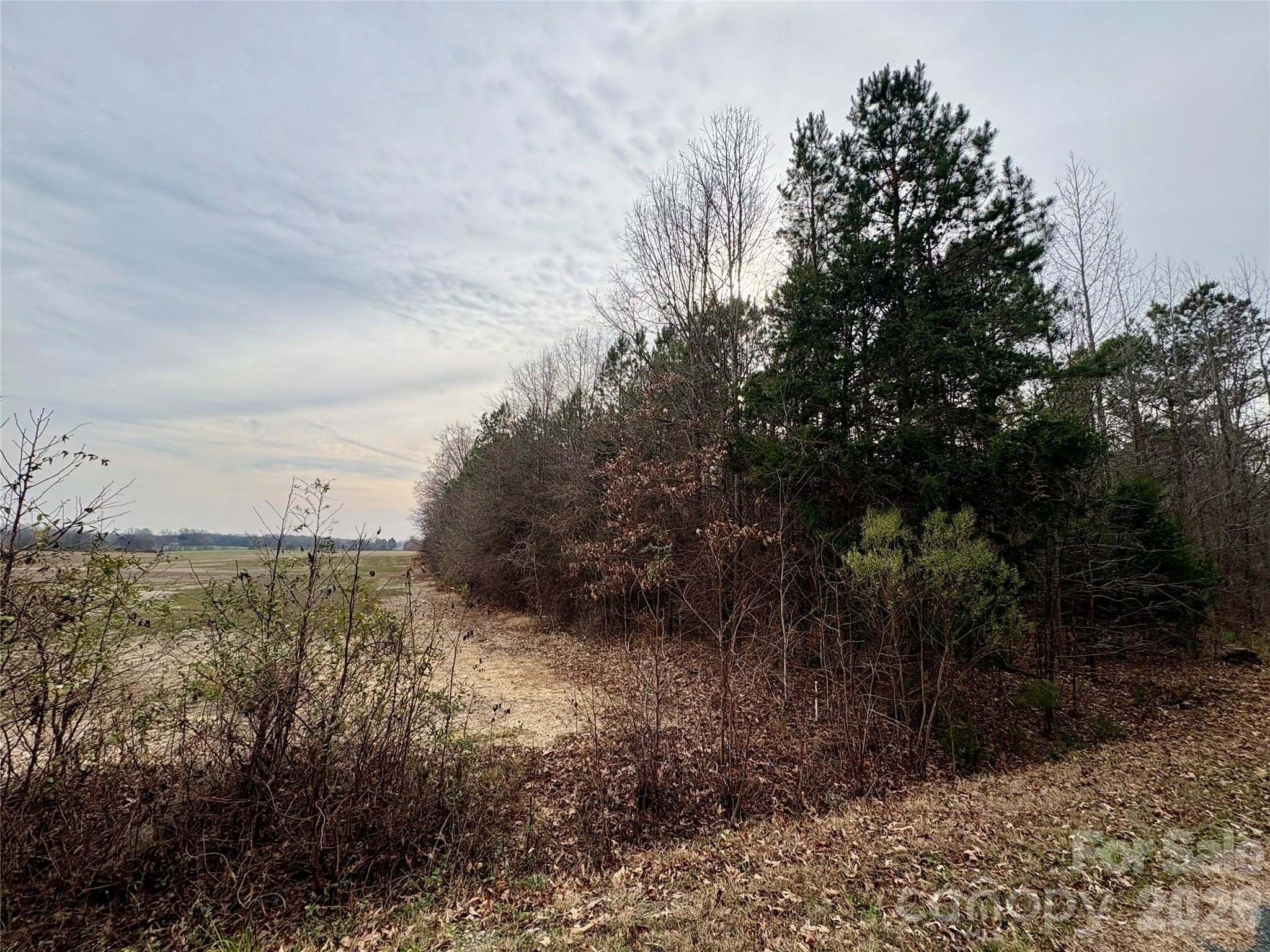 Wooded Land in Union County
