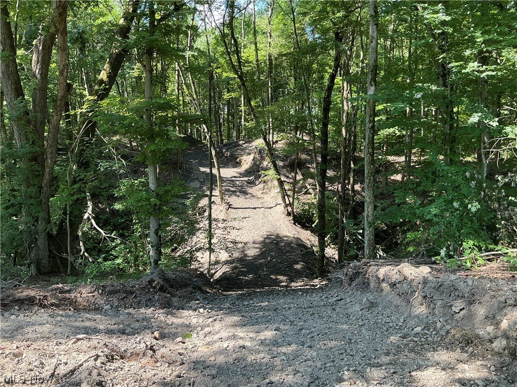 Picture 12