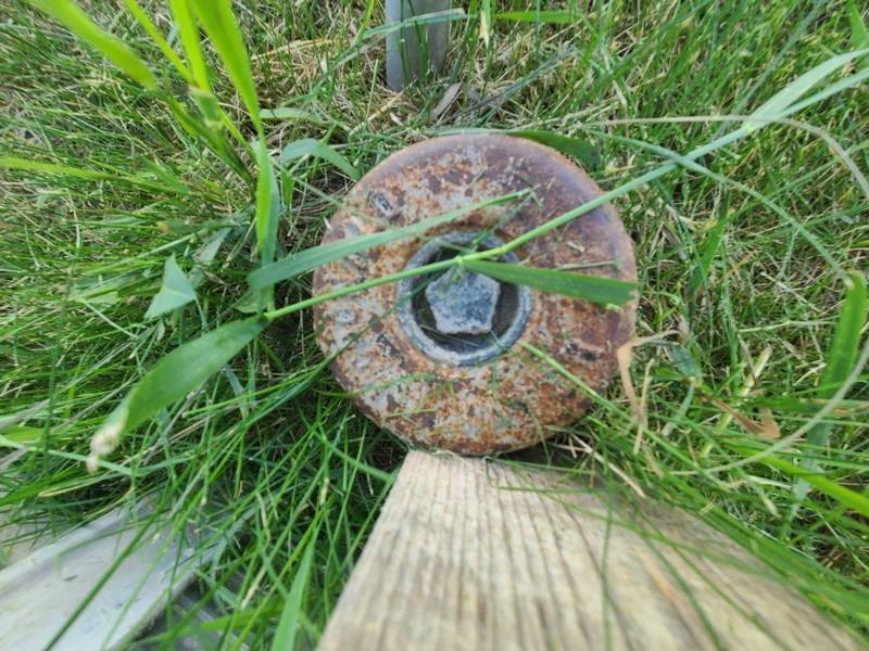 Picture 11