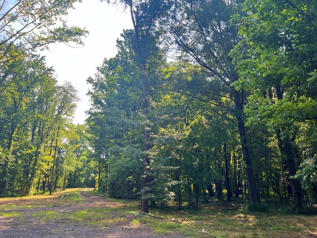 Picture 16