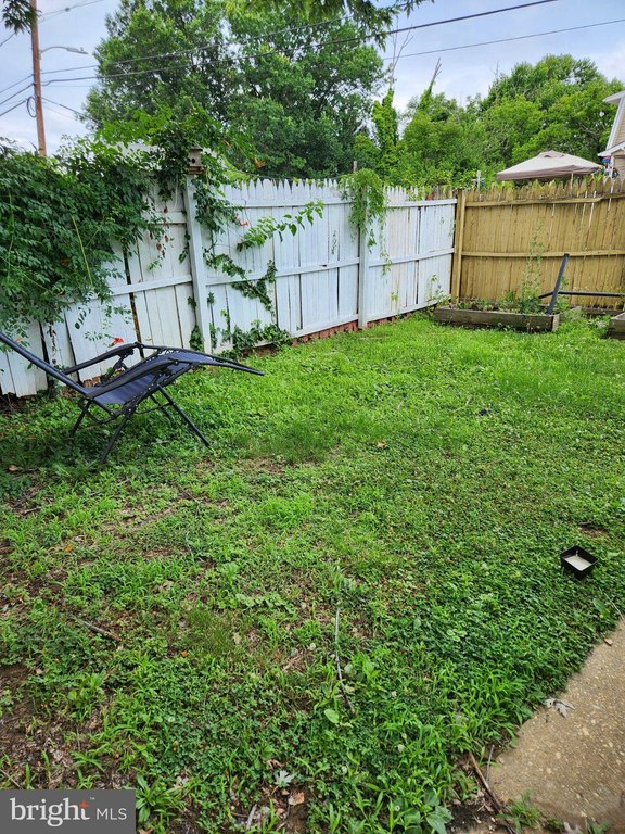 Picture 32