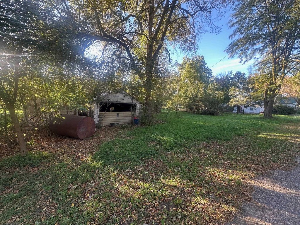 Picture 6
