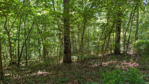 Residential Land - Cannelton, IN