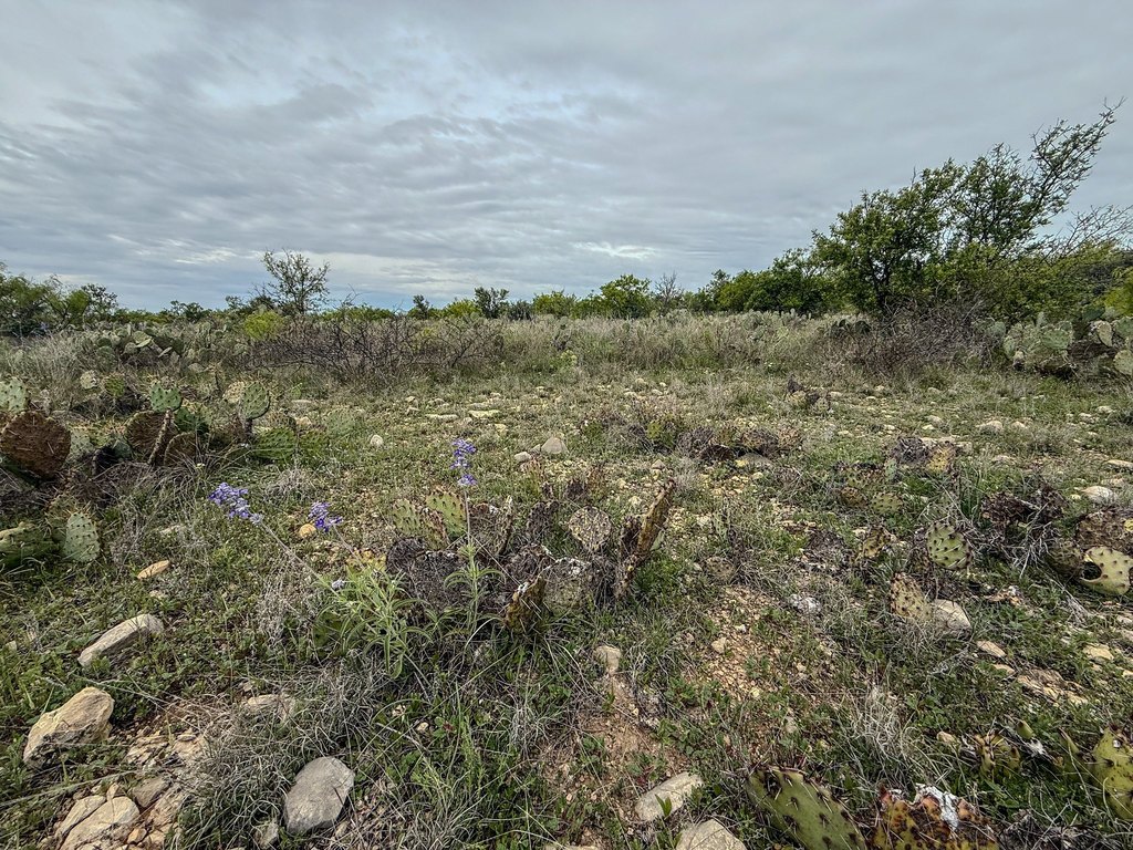 Picture 36