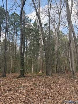 Residential Lot in Amelia, VA